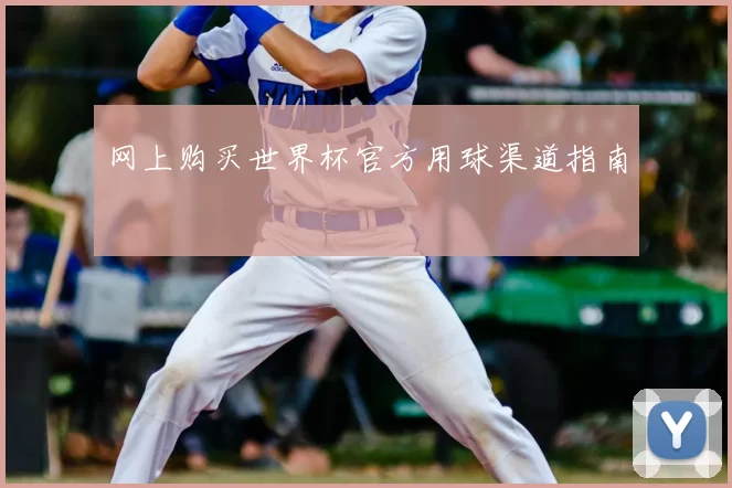 网上购买世界杯官方用球渠道指南