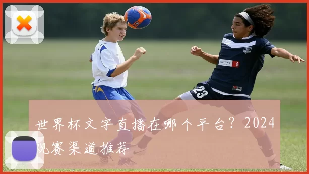 世界杯文字直播在哪个平台?2024观赛渠道推荐