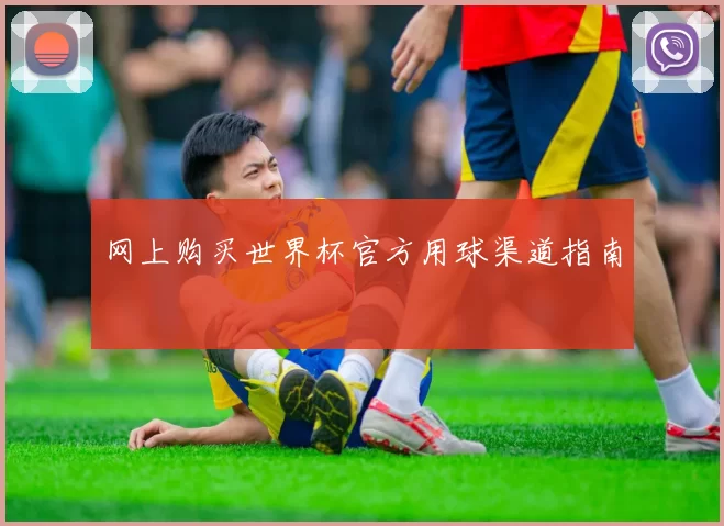 网上购买世界杯官方用球渠道指南