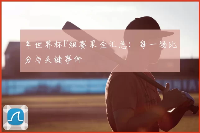 年世界杯F组赛果全汇总:每一场比分与关键事件