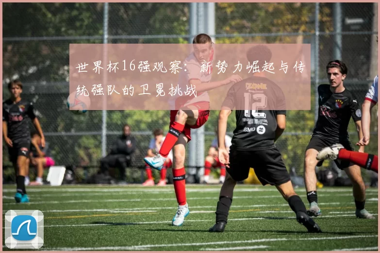 世界杯16强观察：新势力崛起与传统强队的卫冕挑战