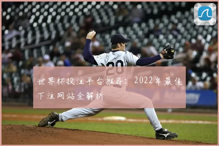 世界杯投注平台推荐:2022年最佳下注网站全解析