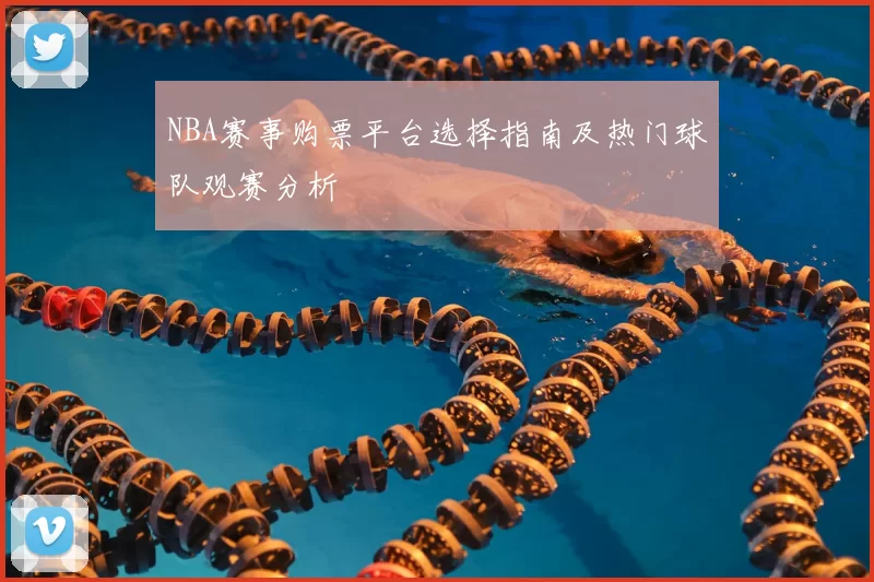 NBA赛事购票平台选择指南及热门球队观赛分析