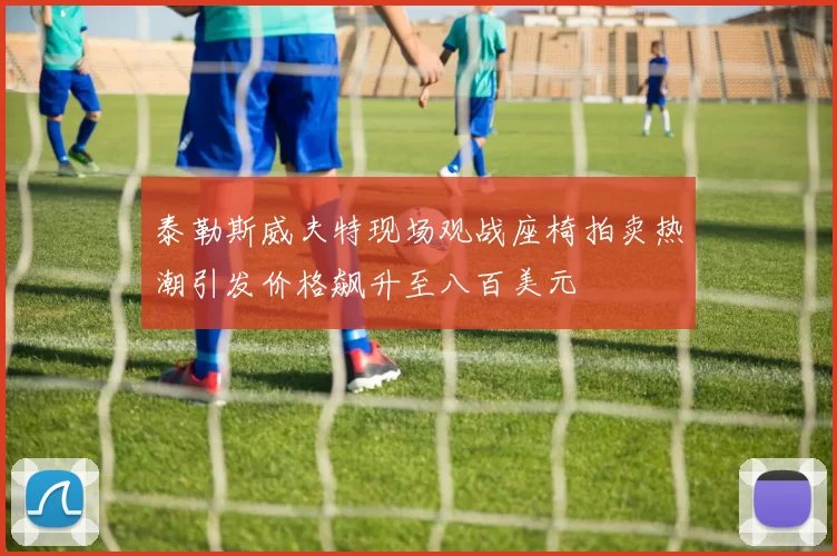 泰勒斯威夫特现场观战座椅拍卖热潮引发价格飙升至八百美元