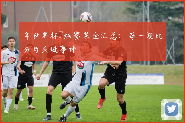 年世界杯F组赛果全汇总:每一场比分与关键事件