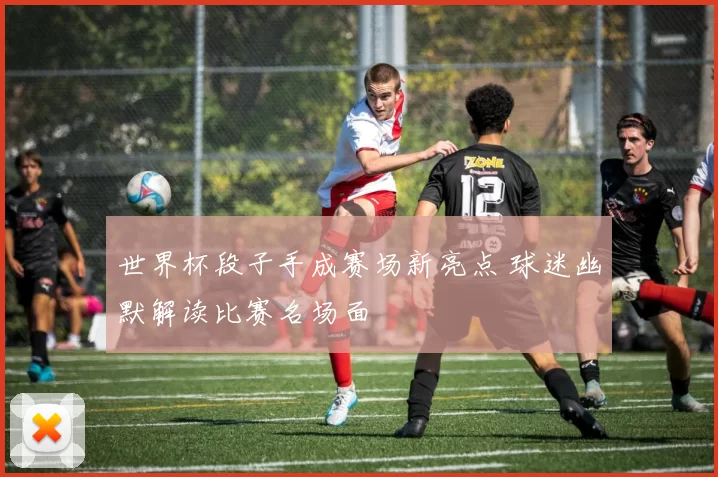 世界杯段子手成赛场新亮点 球迷幽默解读比赛名场面